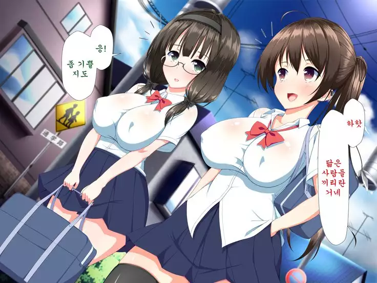 Inran Virus ~Seikoui wa Iryoukoui~ <팀 혼파망>