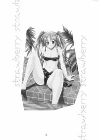 (C66) [Majimeya (isao)] Majimeya Ichigo (Ichigo 100%)