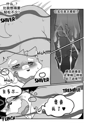 Killer Whale & Niterite 3