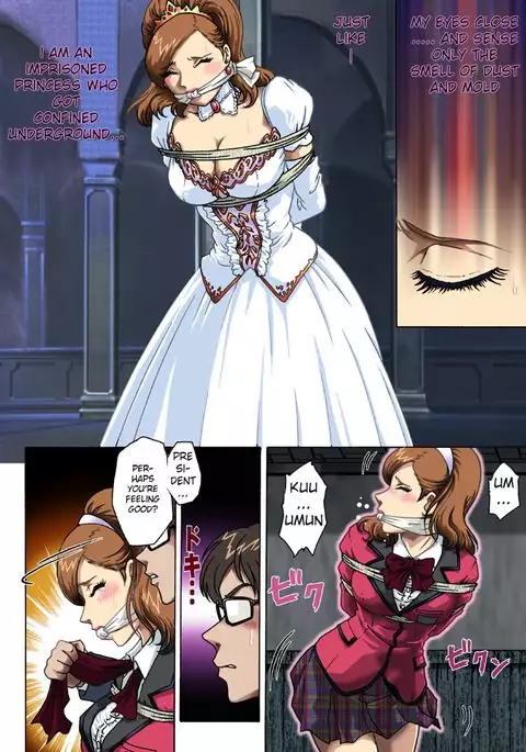 Toraware no Seito Kaichou