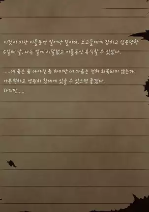 Sage Lavinia's Last Note ~ In the ruin of orc fort ~