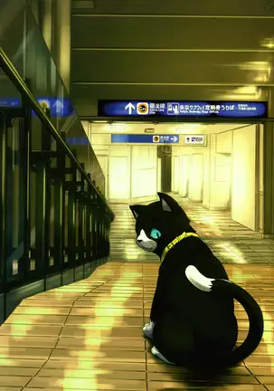 Do You Like Morgana.