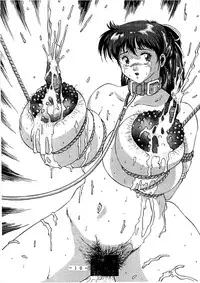 (C54) [White Elephant] Anice-sensei Kannou Shashinshuu (Sonic Soldier Borgman)