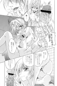 [Fudou Ran] Koitama [Digital]