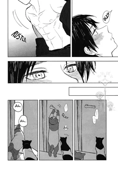 (C85) [Tokinokouji (Omatsu)] Hachiware to Levi-san [Yoru] | The Black and White Cat and Levi-san [Night] (Shingeki no Kyojin) [English] [Key and Cravat]