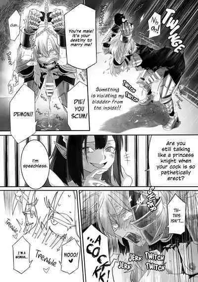 Kyuuketsuhime no Himekishi Kansatsu