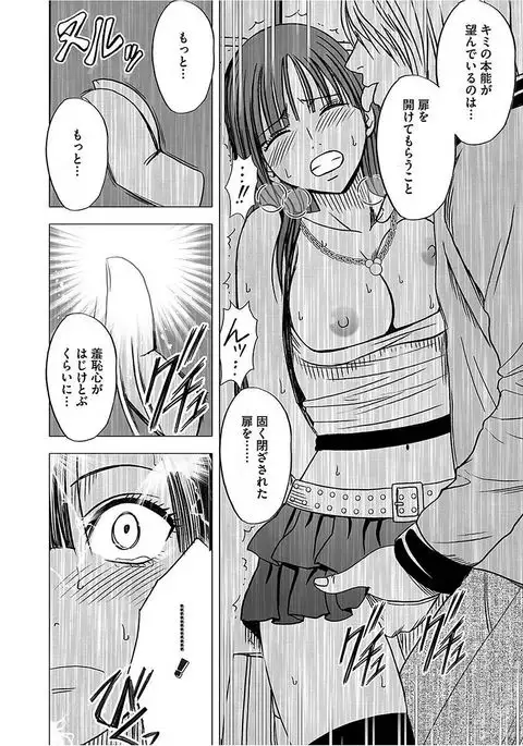 Virgin Train 【Kanzenban】