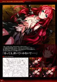 Dies irae Visual Fanbook - Red Book (Resale Version)