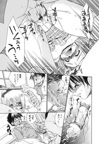 [Nikusyo] Sweet Honey