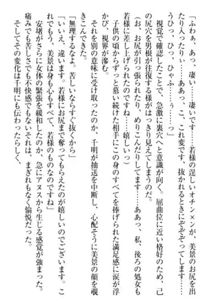 年上メイドの新婚日記