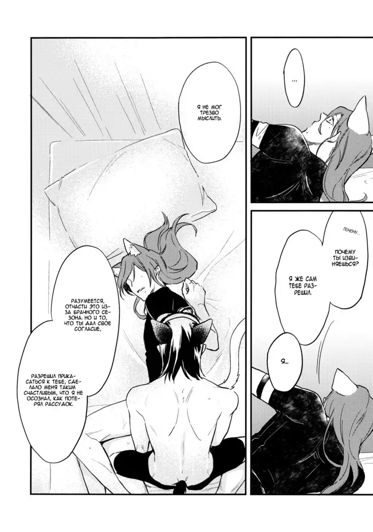 Green, black cat and rut