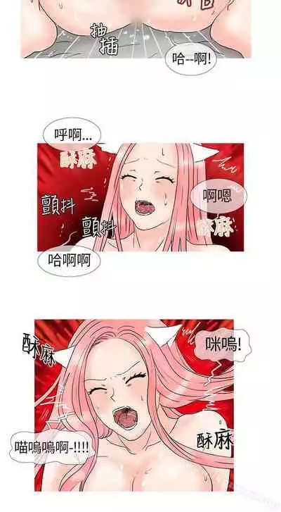 小野貓馴服手冊