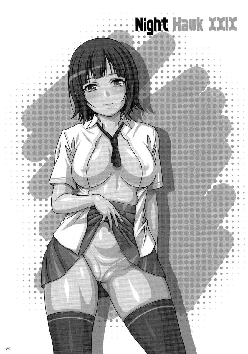 NightHawk XXIX