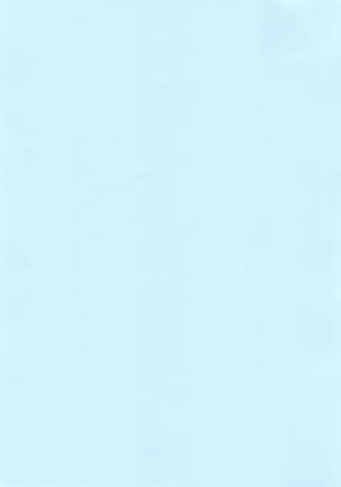 BREAK BLUE MARRON SPARRING