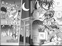 [Appleton] Cherry Town