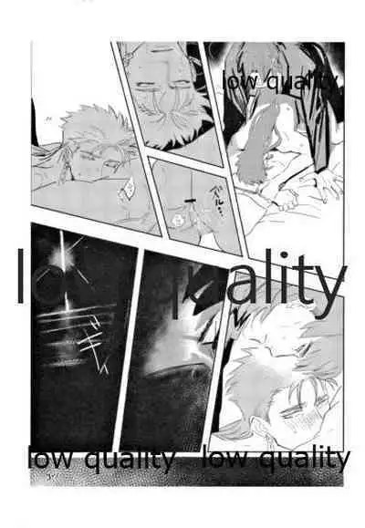 (SUPER26) [Muri Yari (Gibachi)] Hikari no Zou (Fate/stay night)