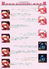 (C74) [Luft Forst (Kazami Rei)] Moe Touhou Gensou-kyou - Hisou Tenpu (Touhou Project)