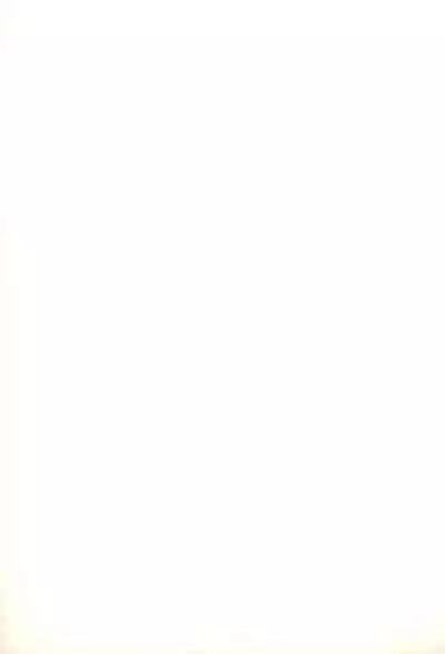 (C70) [Mutekei Fire (Various)] Tareme Paradise 13 (Various)