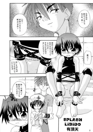 Splash Libido