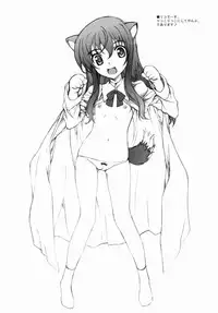 (C80) [BRIEST (Yatsushima Tetsuya)] DDR/01 (DOG DAYS)