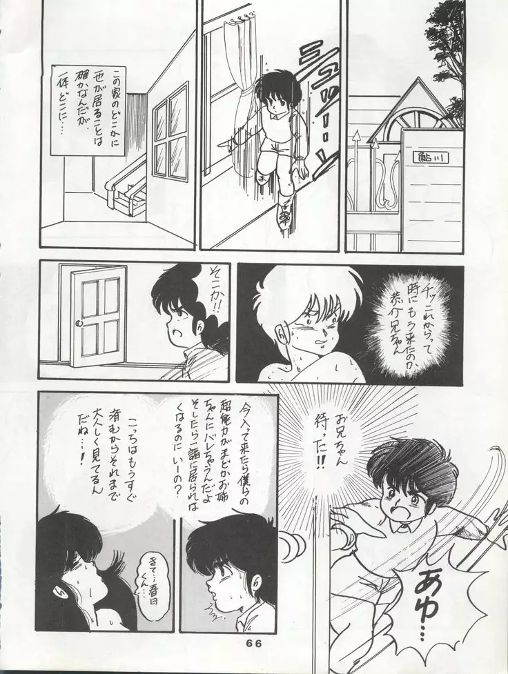 ORANGE GALLERY SAKATA SPECIALl