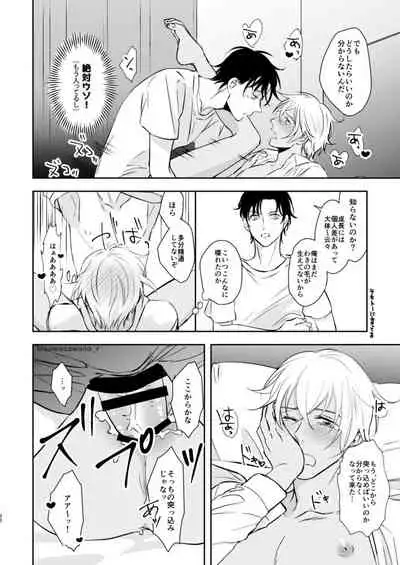 [Iris (Sawano Ryou)] Junai Paradox (Meitantei Conan) [Digital]