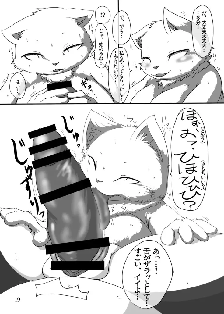 I Love The Chubby Cat