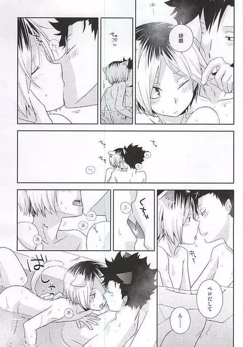 月イチ大感謝毛繕いデー