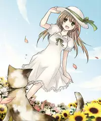 [Amuai Okashi Seisakusho (Matsuzono, Amuai)] Okashi Tsumeawase Pack Kuratsuka Ichimi