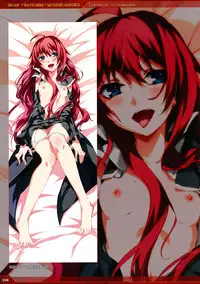 Dies irae Visual Fanbook - Red Book (Resale Version)