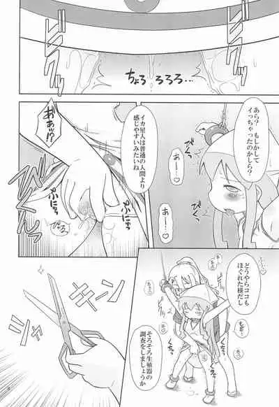 Ikaseijin Hi Chousa Report
