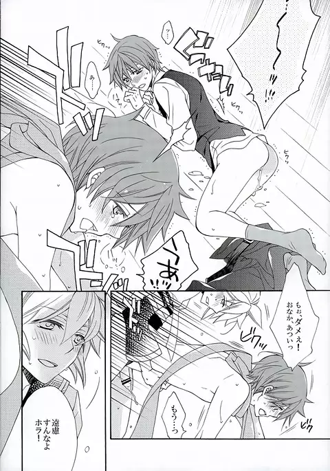 ハツドリドキュメント