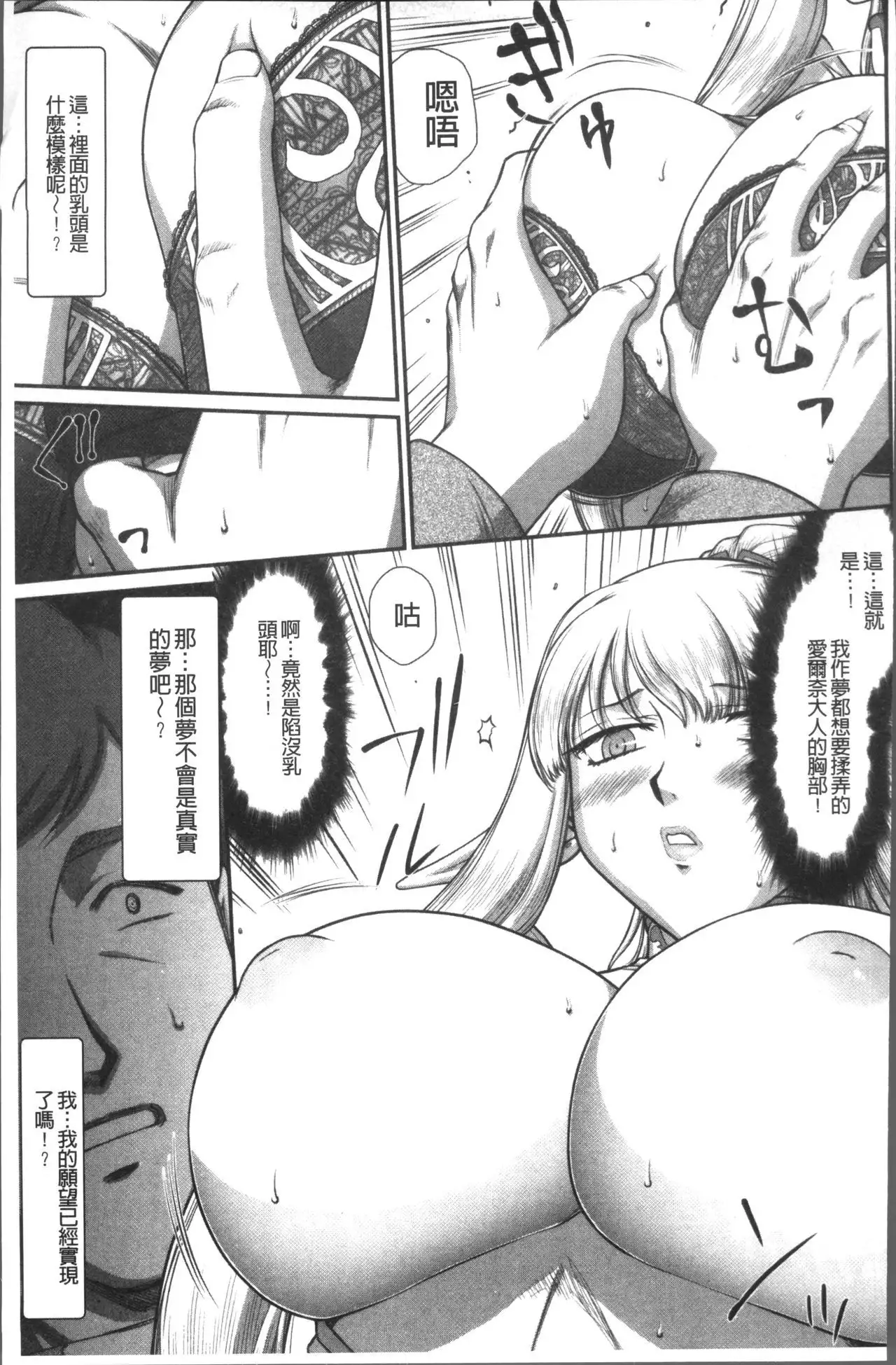 Inraku no Seijo Elvine