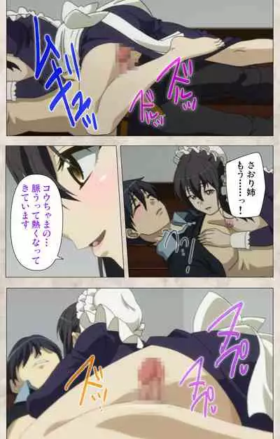 Ane Yome Quartet Kanzenban