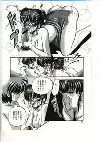 [Appleton] Fairy Paradise