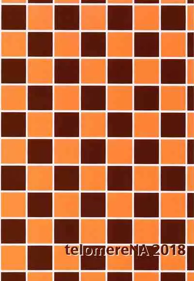 Minami datte Yuuwaku Shimasu yo? | Don't Think For A Second That Minami Won't Seduce You.