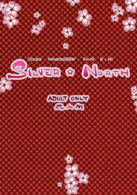 SILVER NORTH