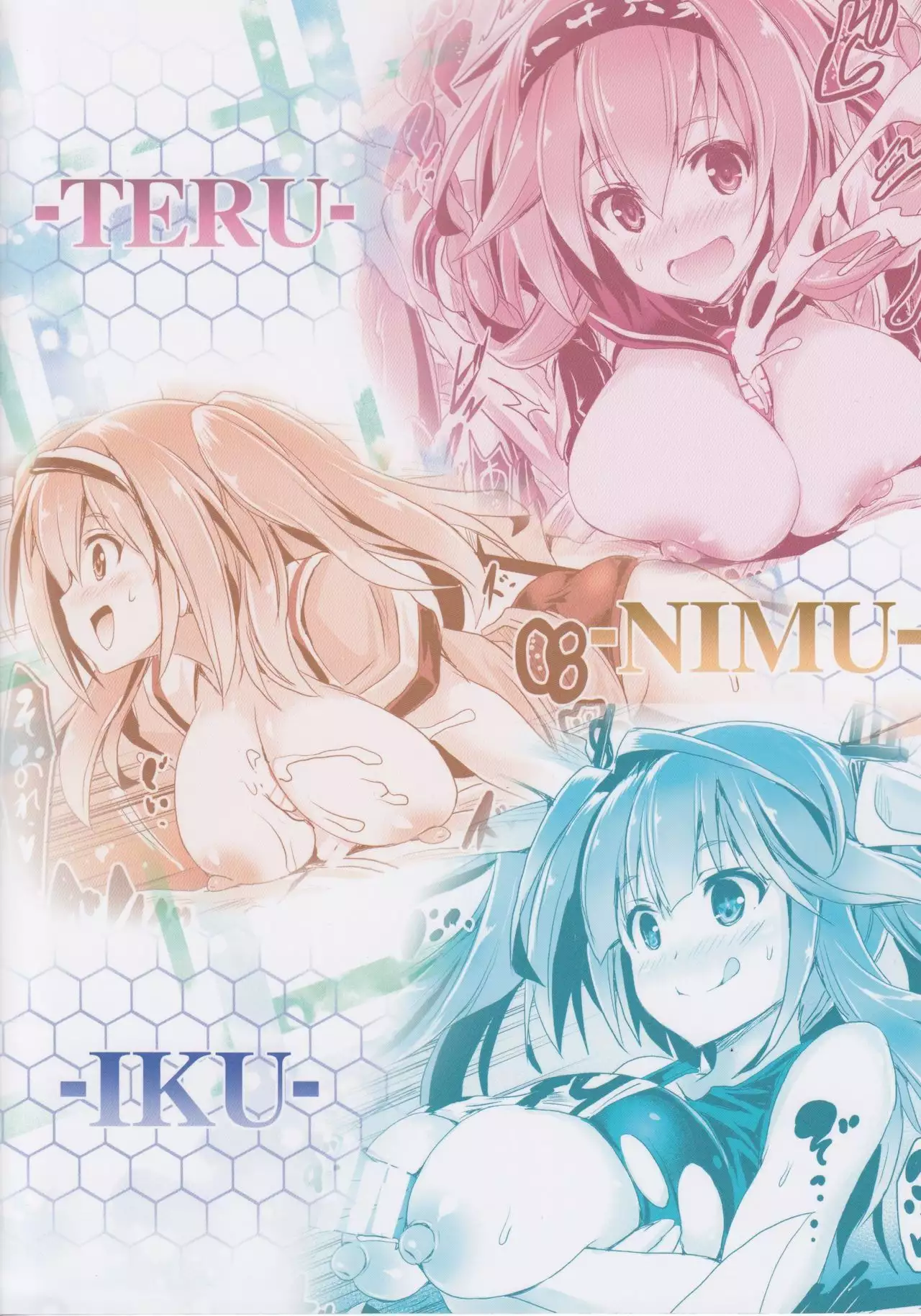 Daikibo Kyoushuu Enshuu