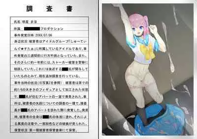 ASFR Jiken Chousa Kiroku