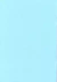 [FRESH FRUIT S (Various)] Rock'n ON (Mega Man NT Warrior)