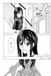 [Circle M.O.E.] A (Claymore, Final Fantasy VII Advent Children)