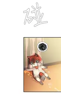 姐妹丼饭 Sister rice Chinese Rsiky