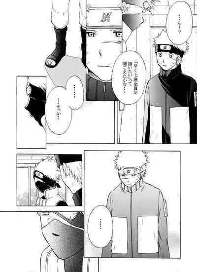 Kimi no Oto