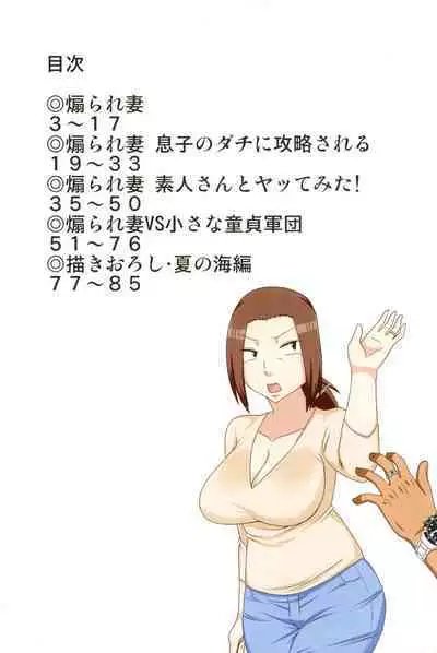 Aorare Tsuma Soushuuhen