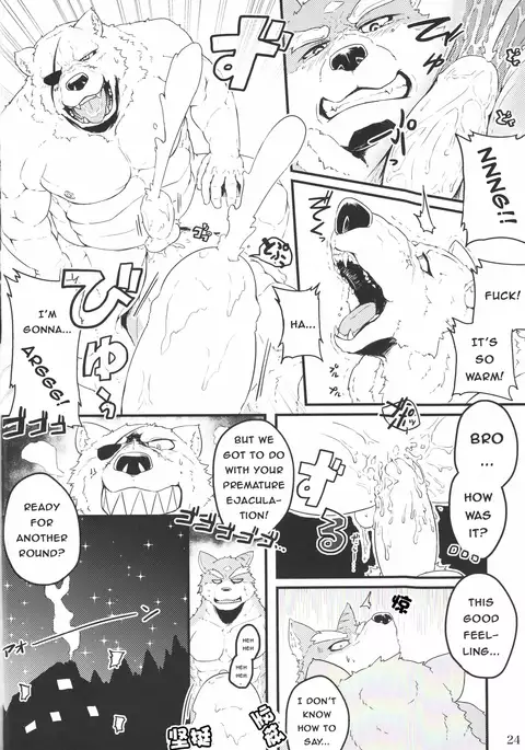 Yuusetsu Bivouac Night