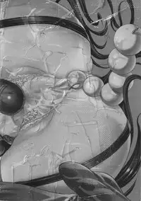 [Ootori Mahiro] Kuchu Tsuma