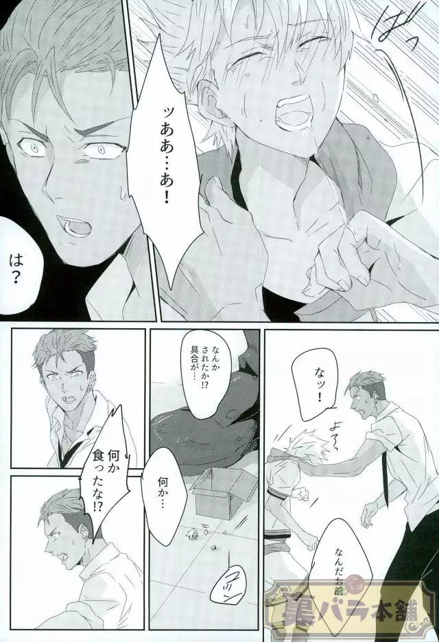 stardust in the green box