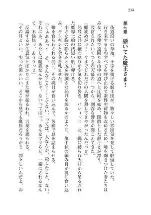 Tsuiteru Yuusha-sama!