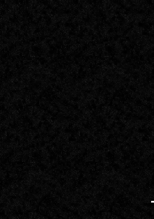 Chikashitsu de Ichiban no Bijin Soushuuhen