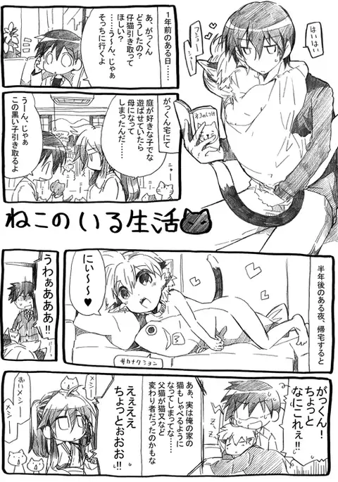 にゃんこのいる生活